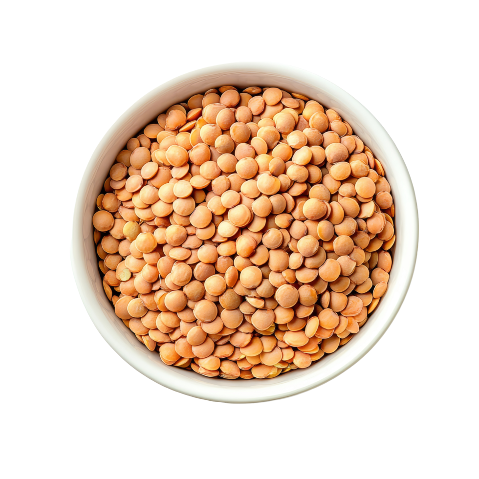 Fresh uncooked lentils in a transparent bowl against a clean transparent background ready for cooking or meal preparation, Uncooked lentils in transparent bowl isolated on transparent background png
