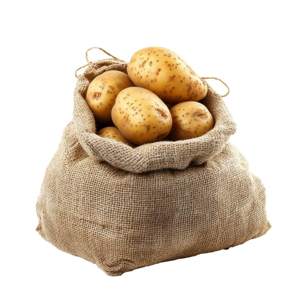 Fresh, unpeeled potatoes in a burlap sack isolated against a transparent background for culinary uses and recipes, potato in the sack isolated on transparent background png