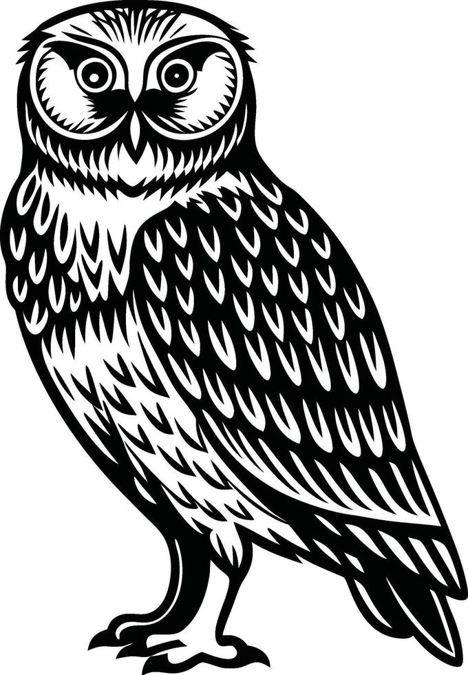 Detailed Feather Owl Silhouette vector