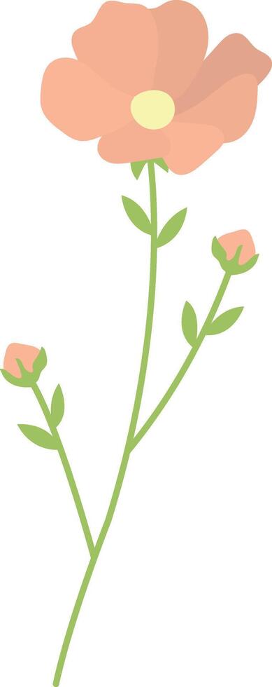 One stalk of spring flowers vector