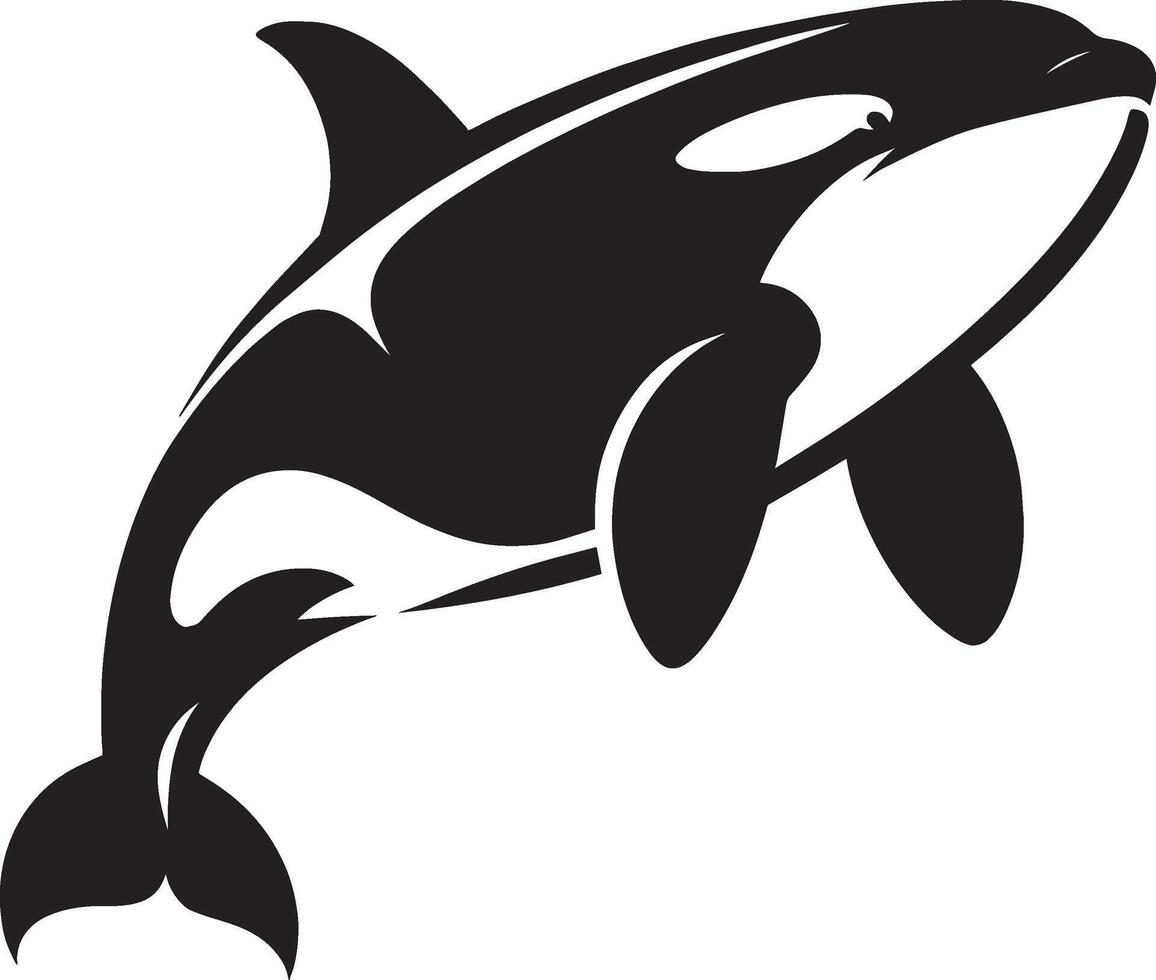 Elegant marine mammal shadow design on a pristine white canvas vector