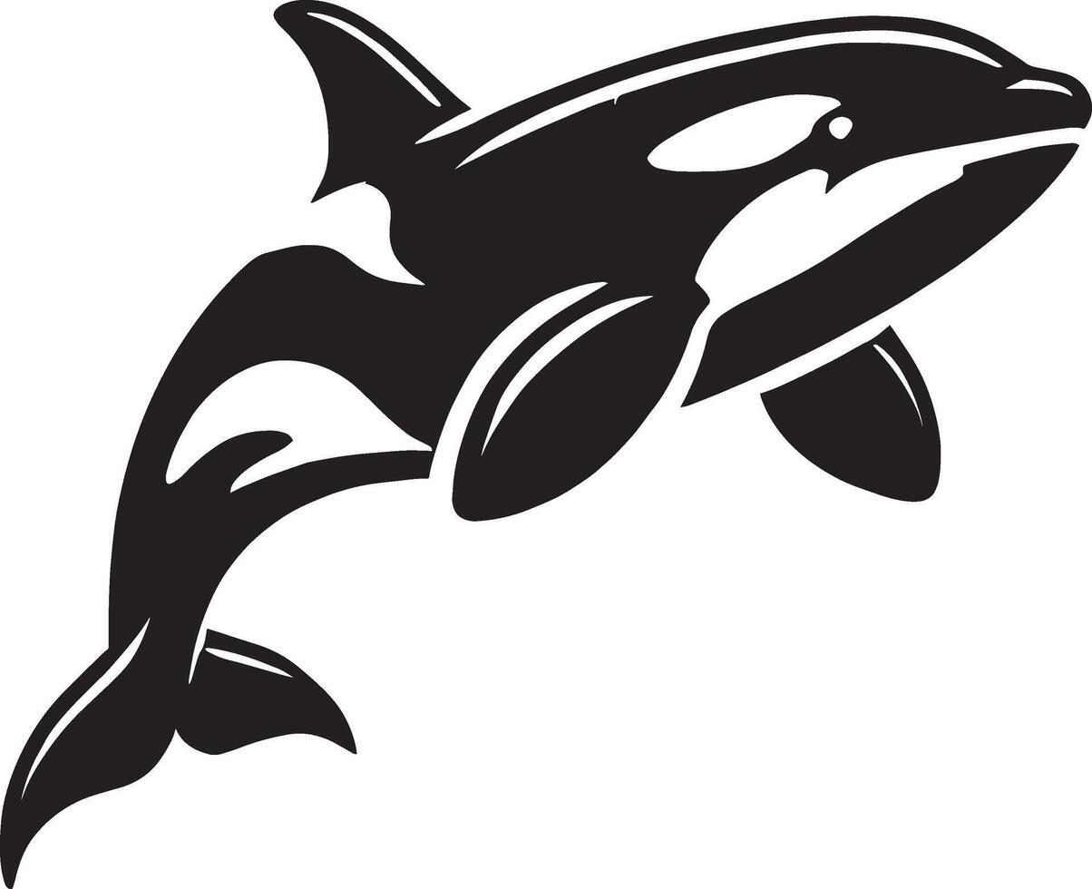 Strong orca whale shadow illustration on a white surface vector