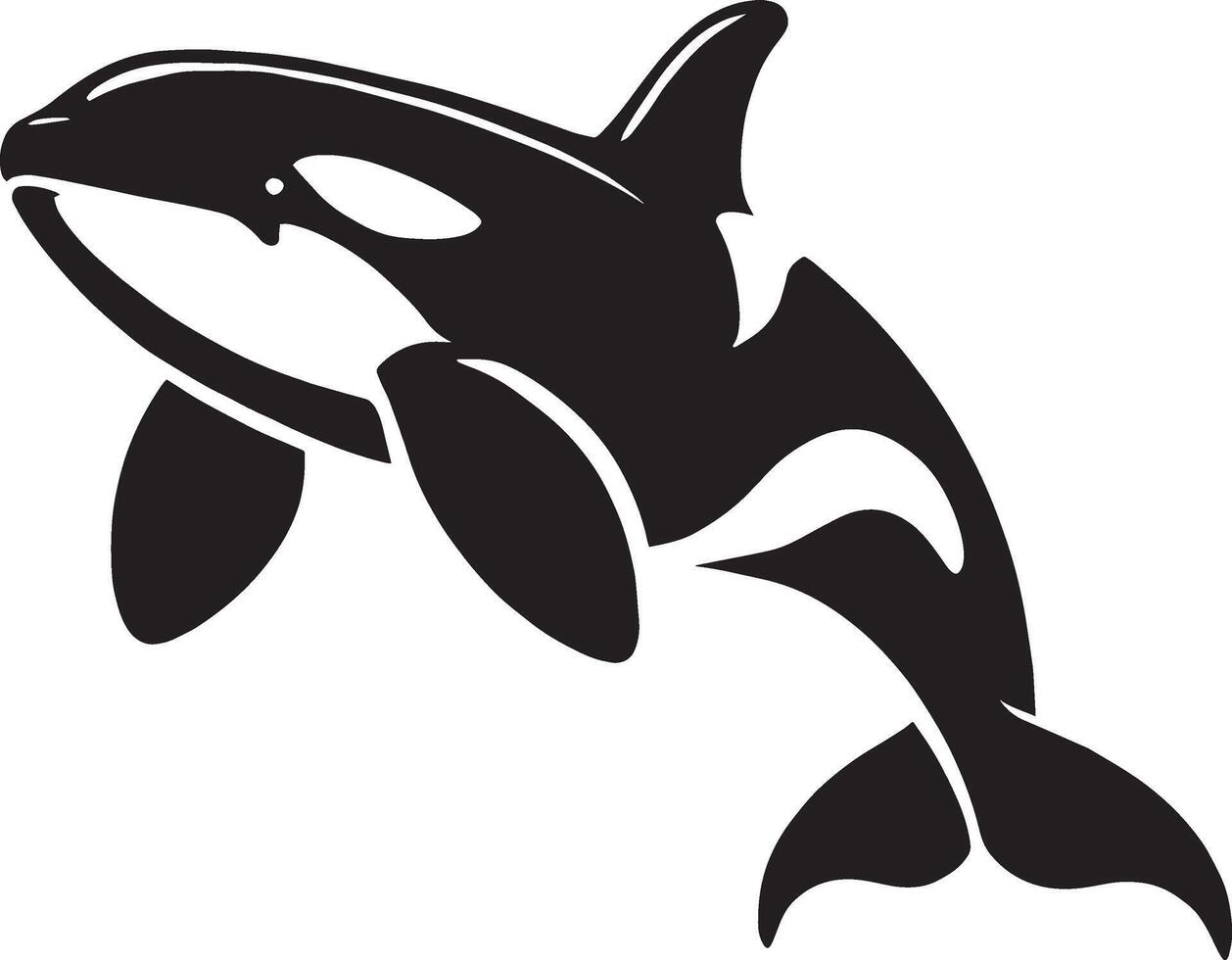Charismatic marine mammal shadow illustration on clean white vector