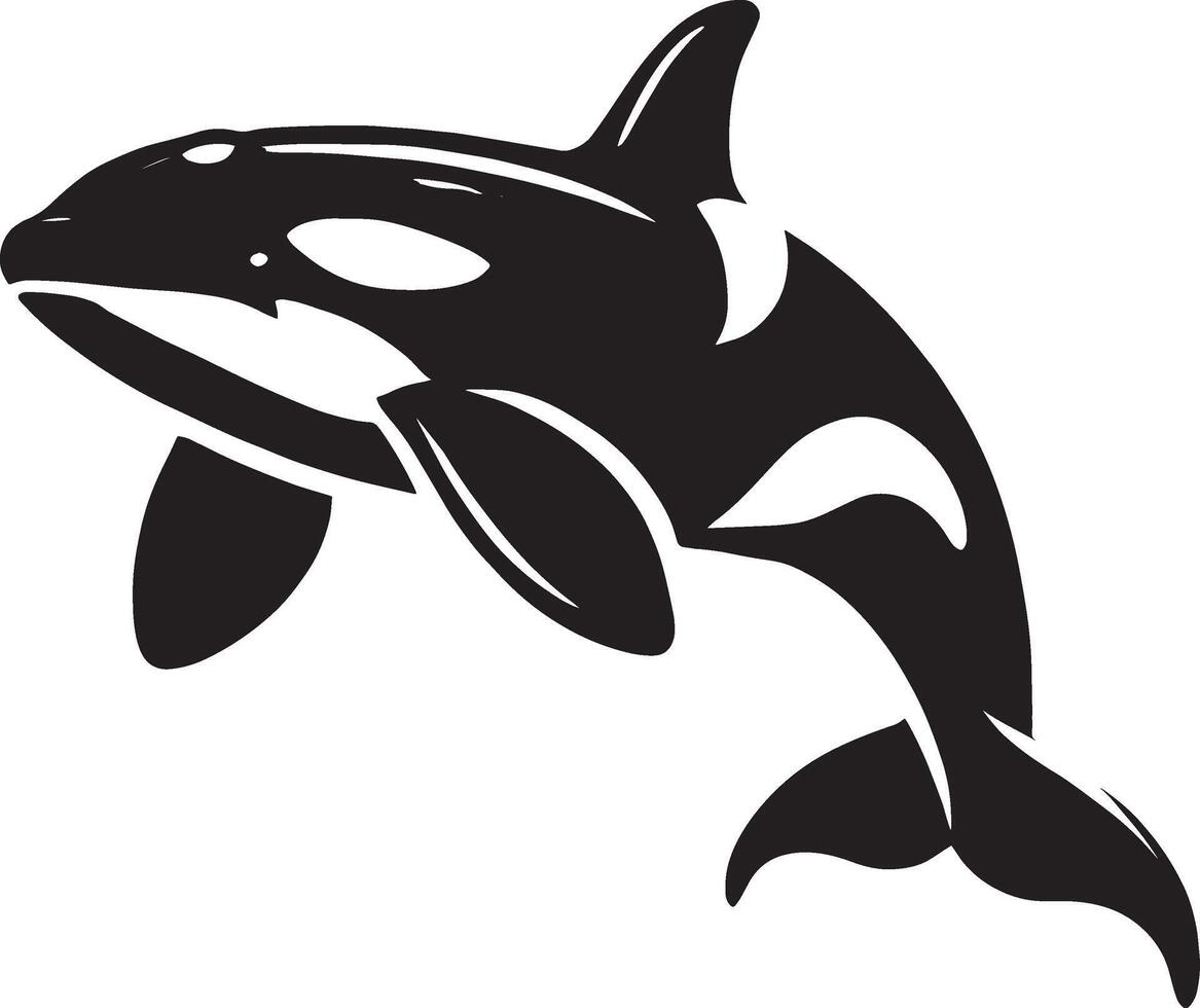 Orca whale silhouette illustration isolated on white background vector