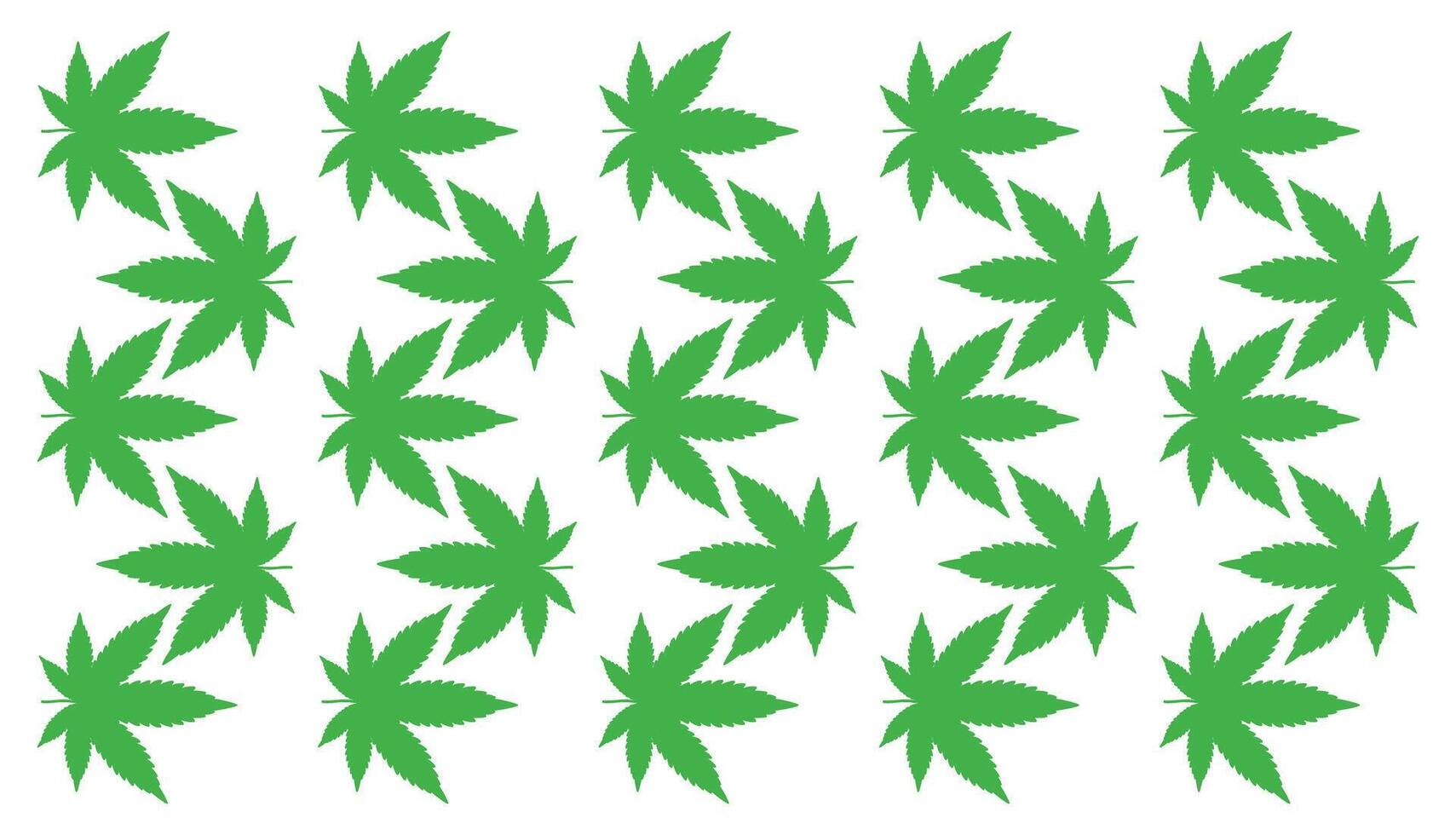 legendary cannabis leaves vector