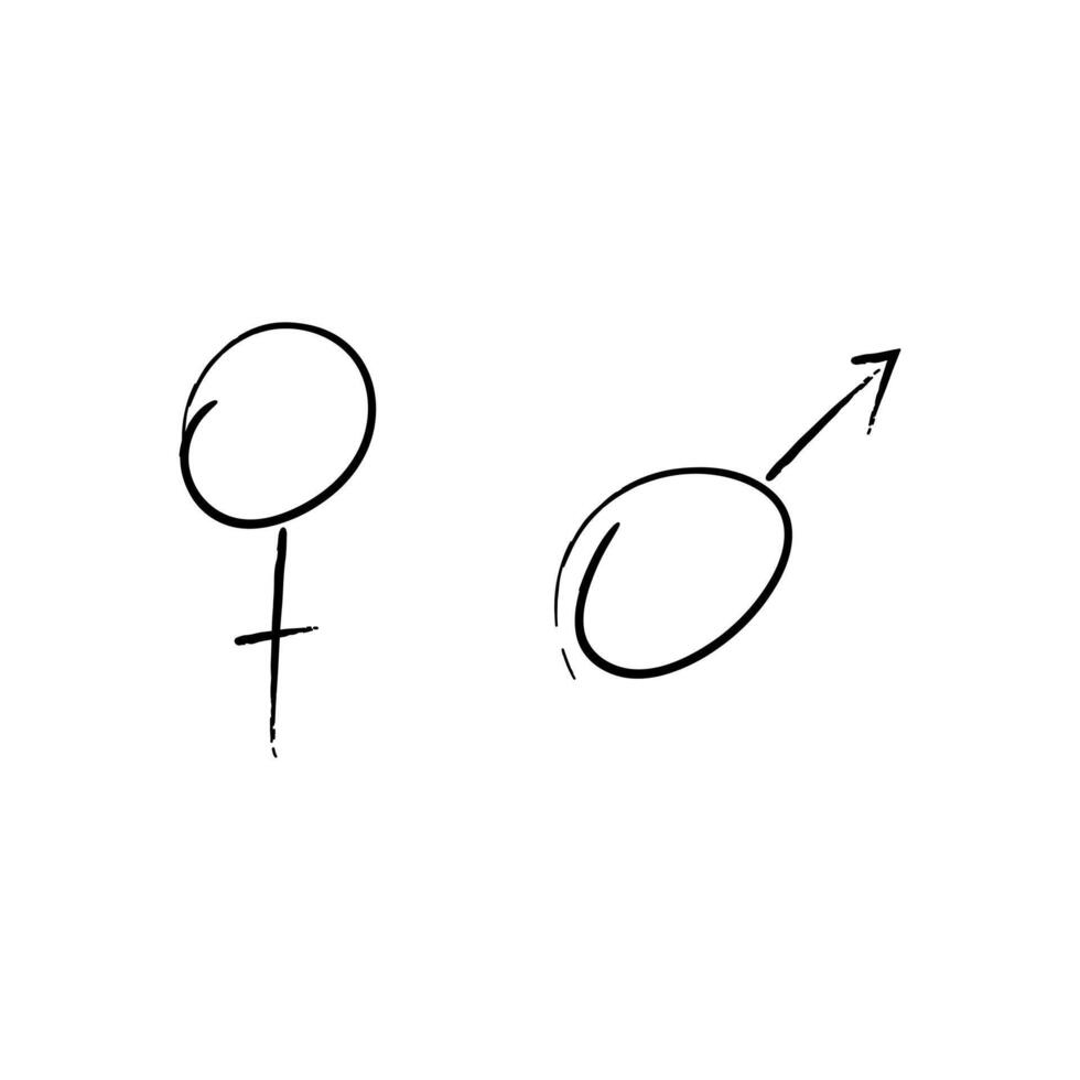 Gender symbols sketch on white background vector