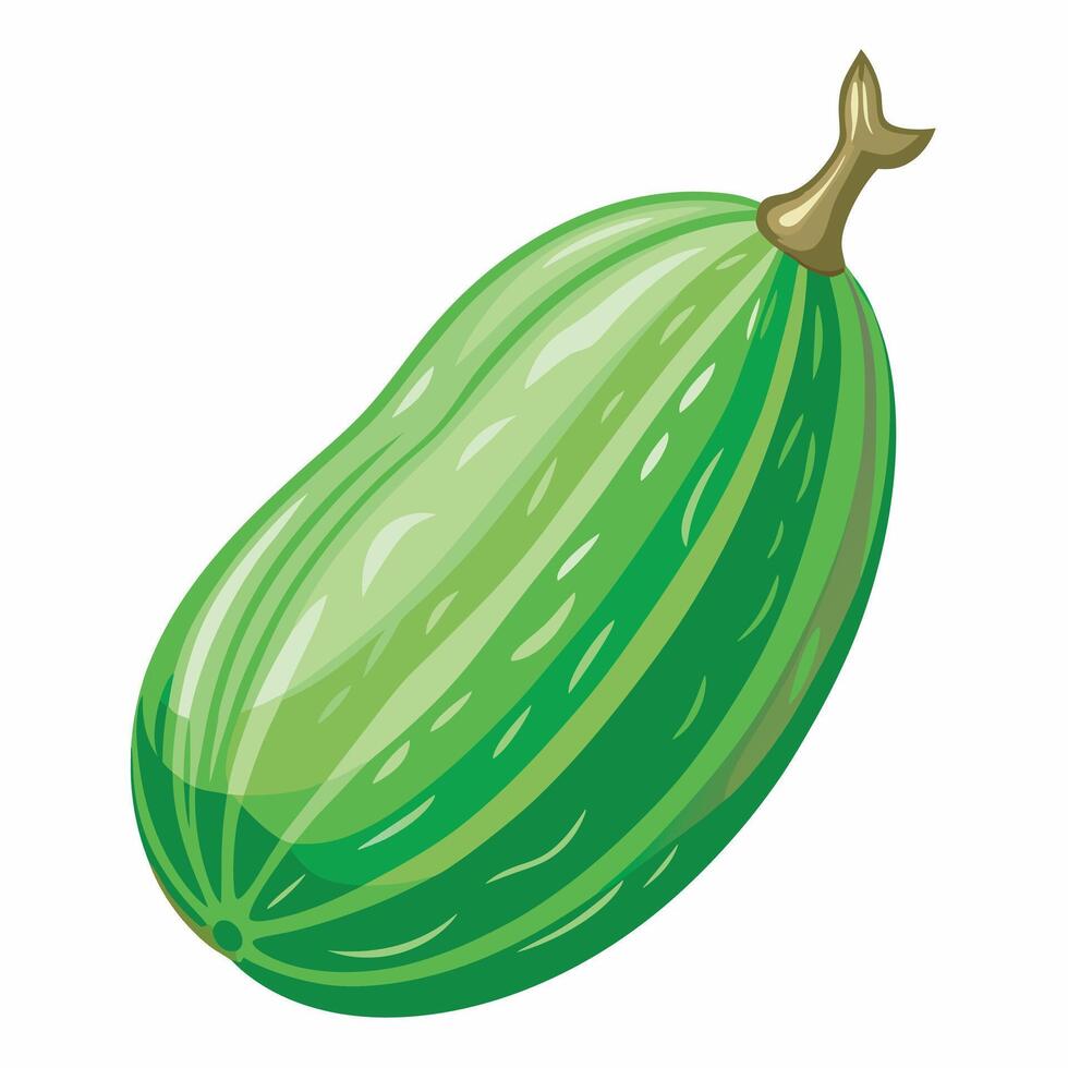 A green cucumber on a white background vector
