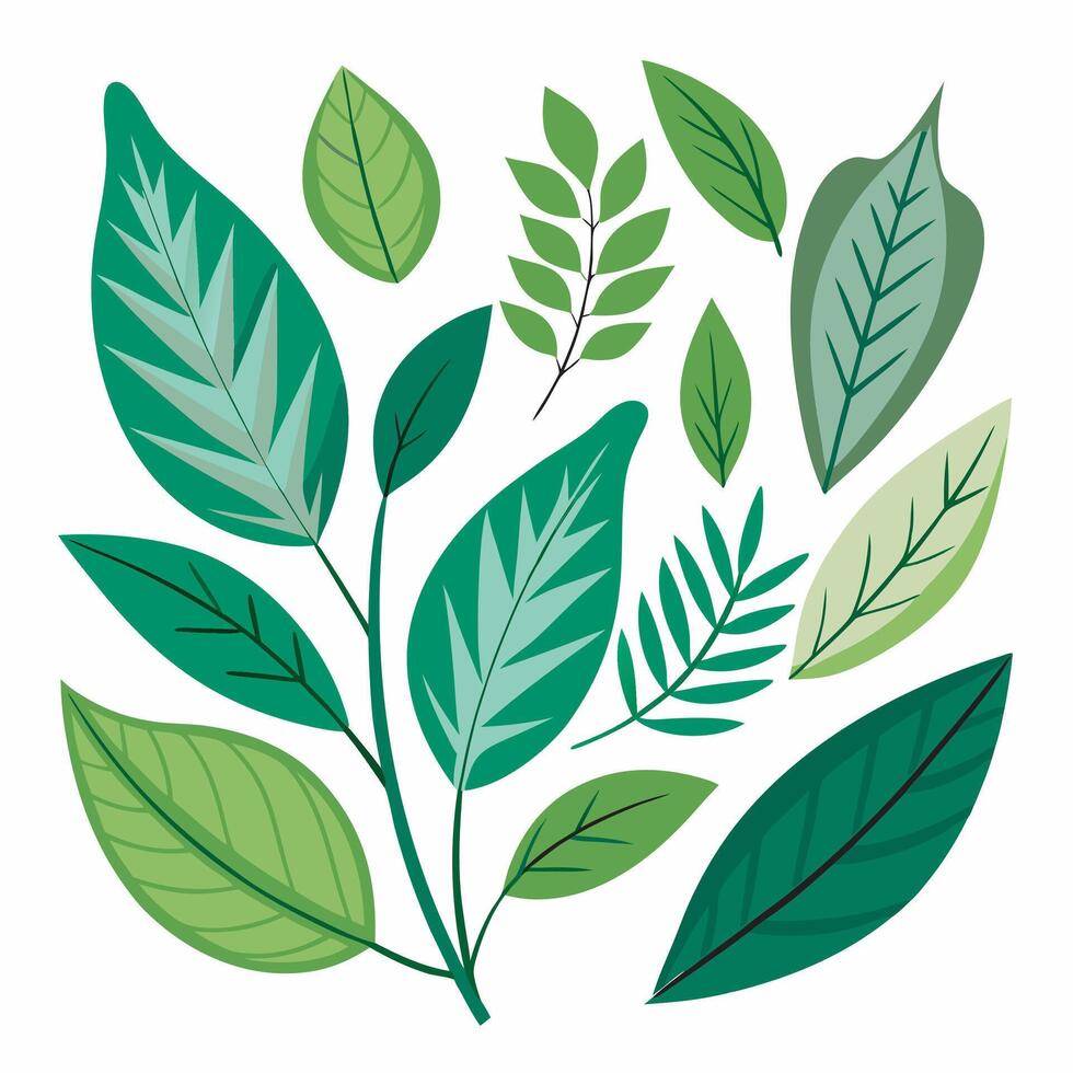 illustration of green leaves vector