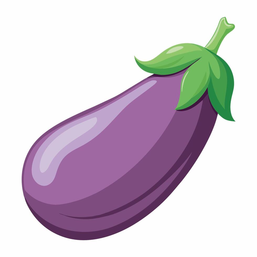 An eggplant on a white background vector