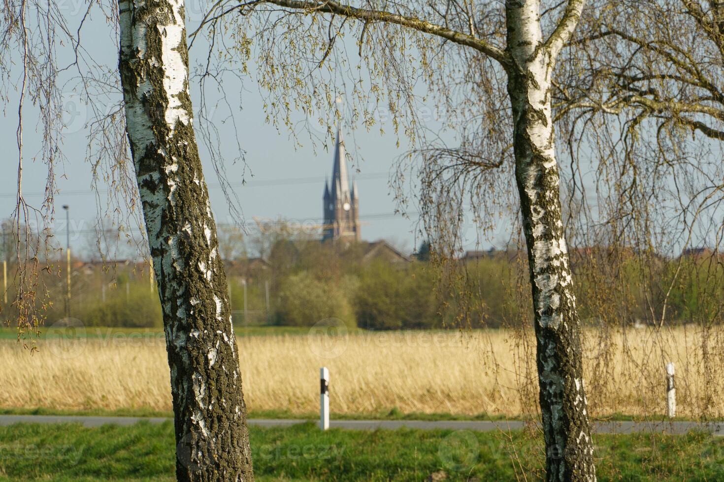 A field of grass and a church photo