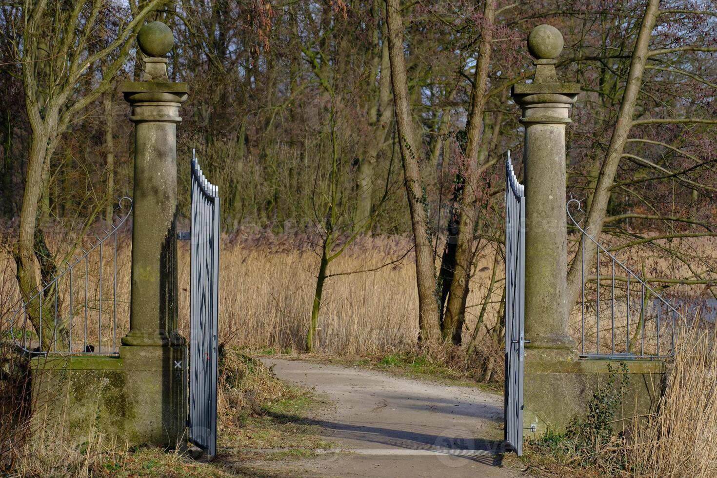 A gate that is open to a path photo