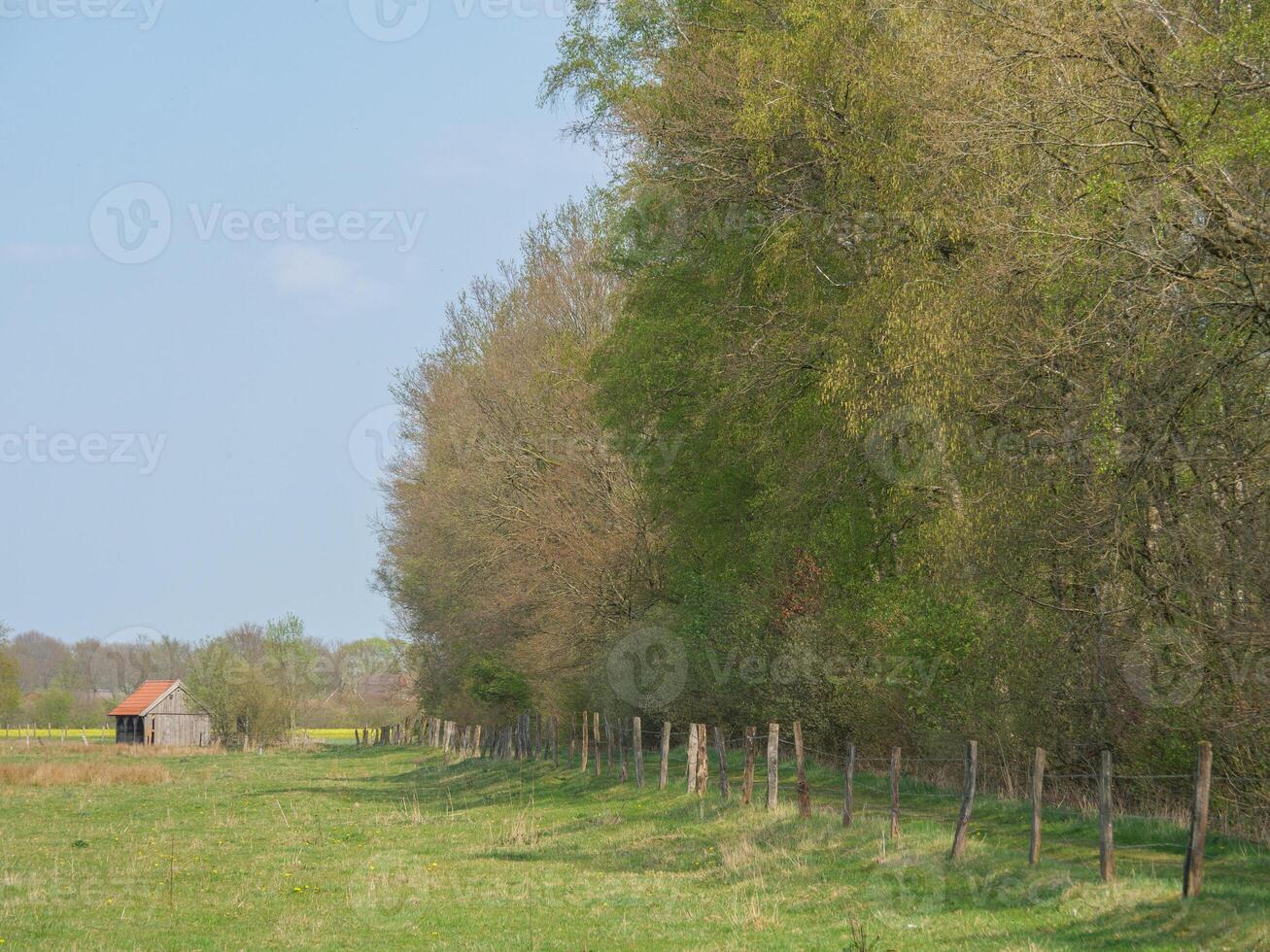 A fence in the field in westphalia photo