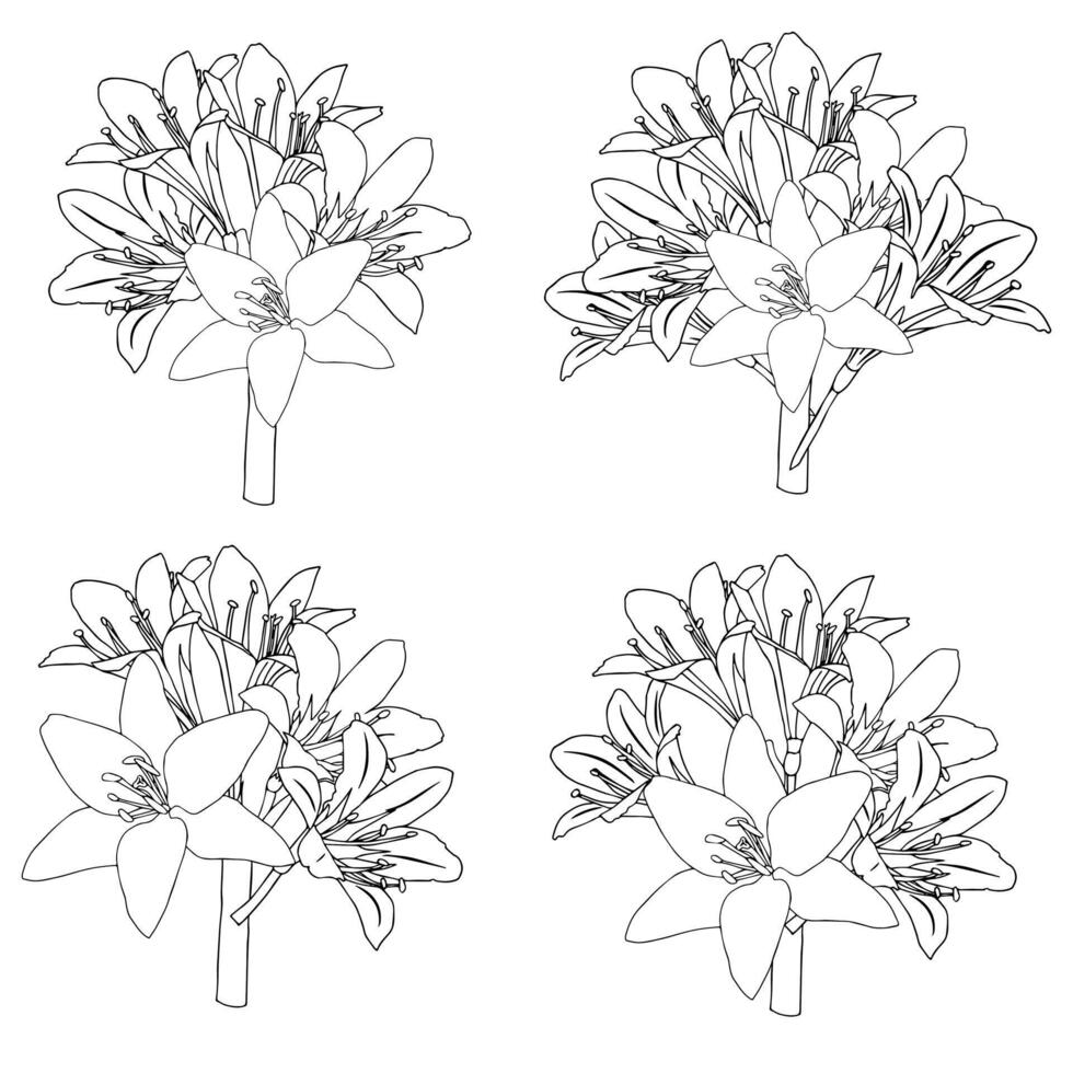 Set of lily bouquets in doodle styl vector