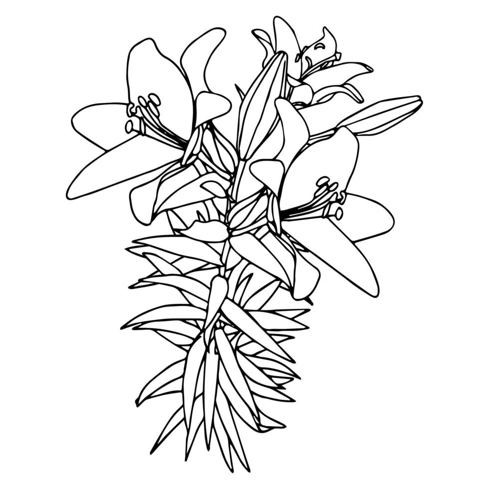 Bouquet in doodle style. vector