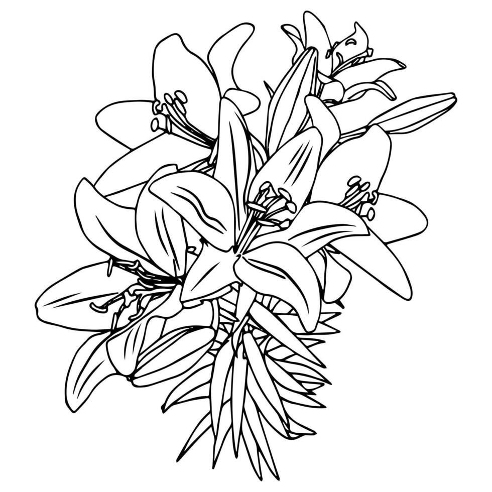 Lily flower in doodle style. vector