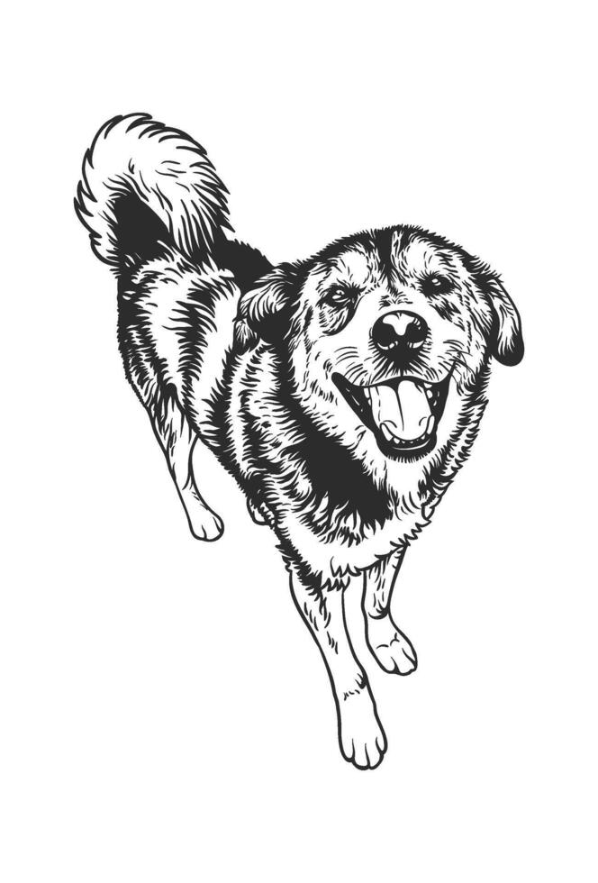 Black and white illustration features a joyful dog with a fluffy tail and a happy expression vector