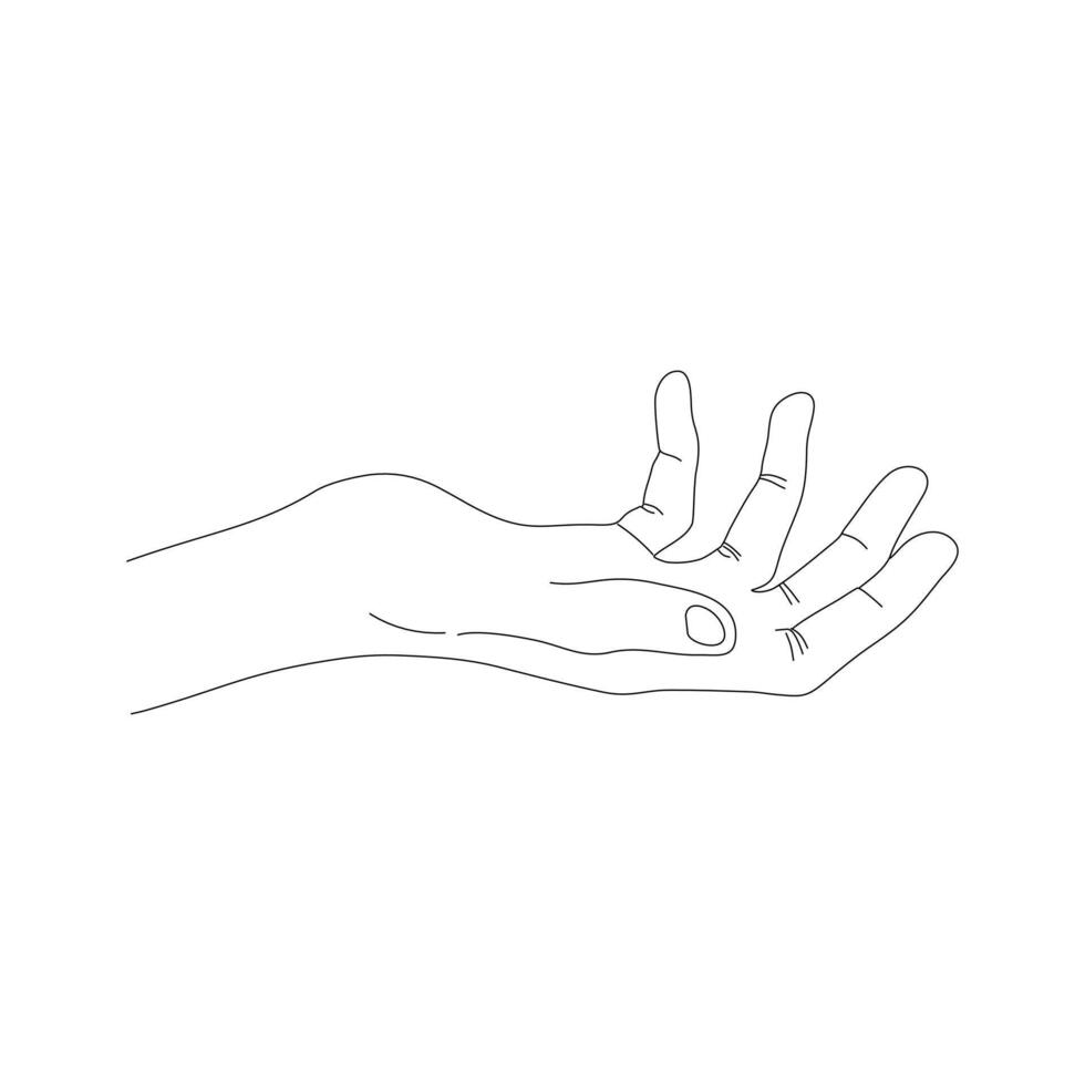 Minimalistic line art illustration of a human hand, a slightly open hand position, with fingers, relaxed and slightly curved, as if gesturing or ready to hold something vector
