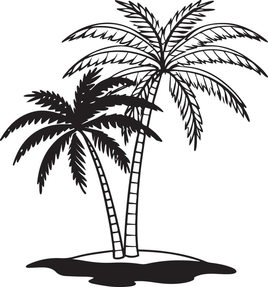 Coconut Tree Image vector