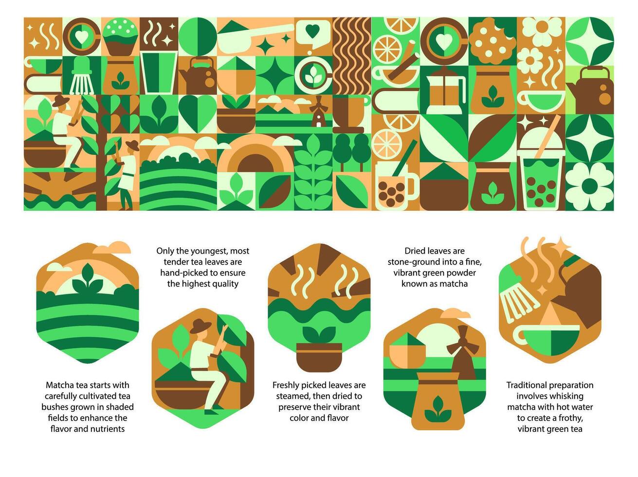 Abstract Bauhaus Tea Pattern, and infographic. From Green and Black Tea Harvest to Steamy Cups vector