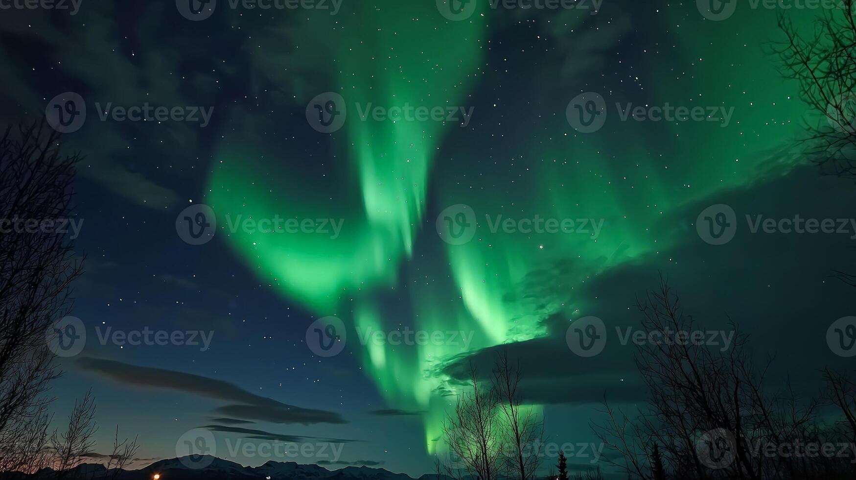 Vibrant green aurora borealis dancing across a night sky filled with stars, silhouetted against leafless trees. photo