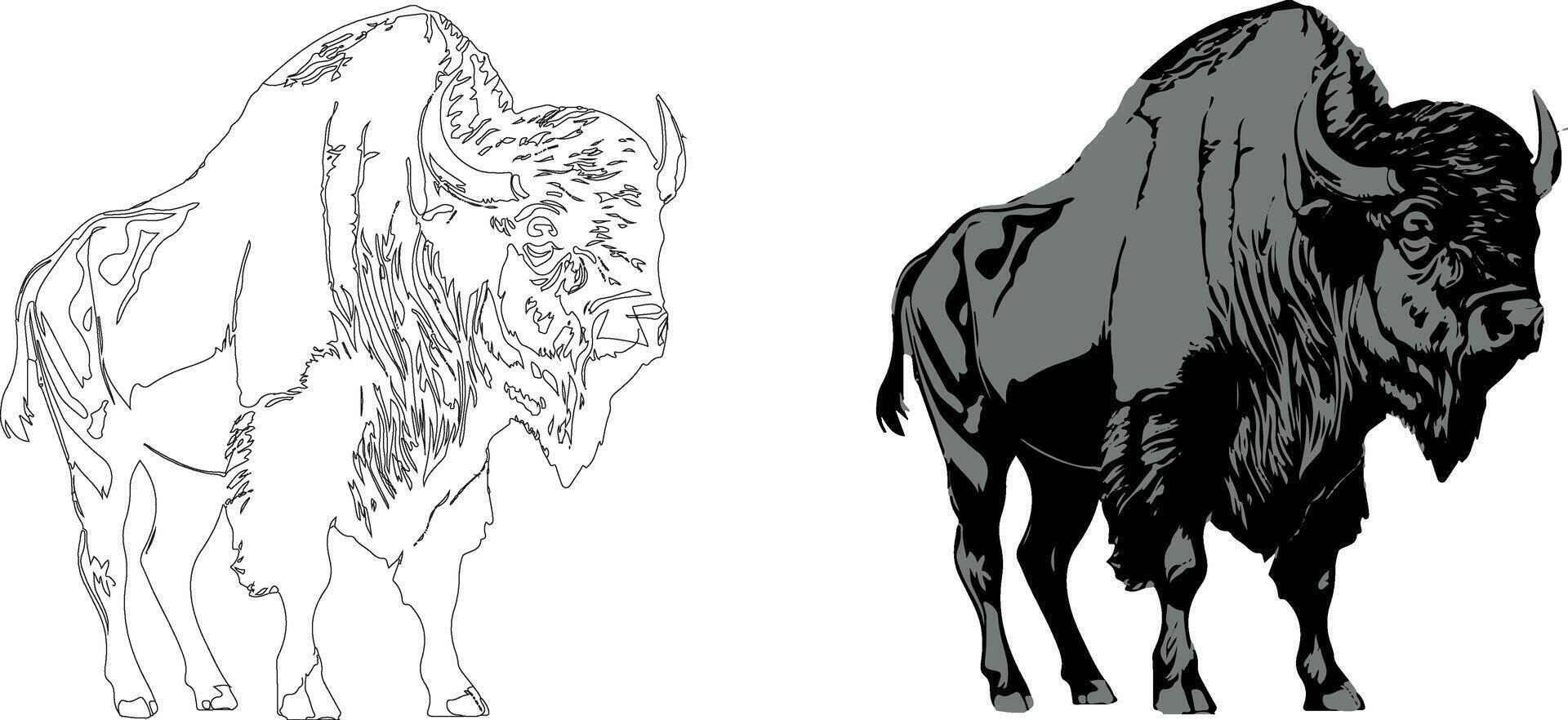 illustration of a bison on white background vector