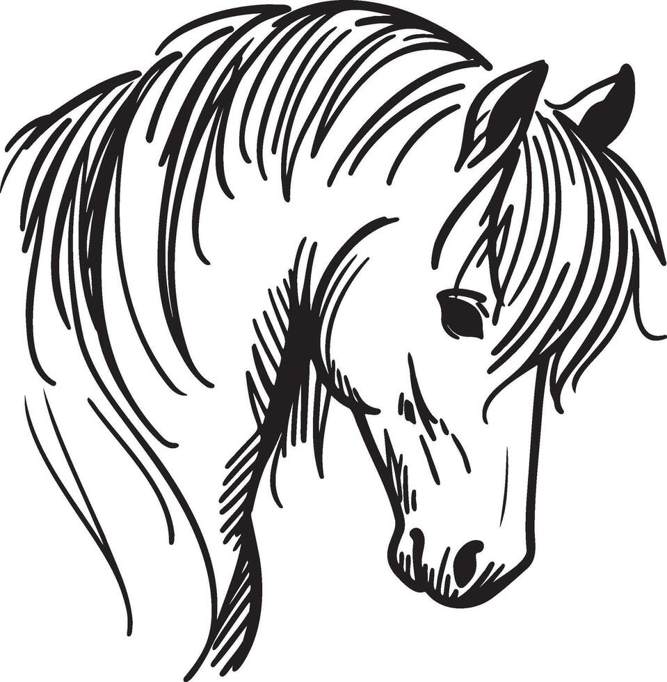 Hand Drawing Horse Head. vector