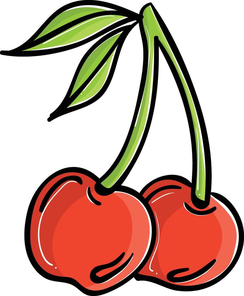 two red cherries illustration vector