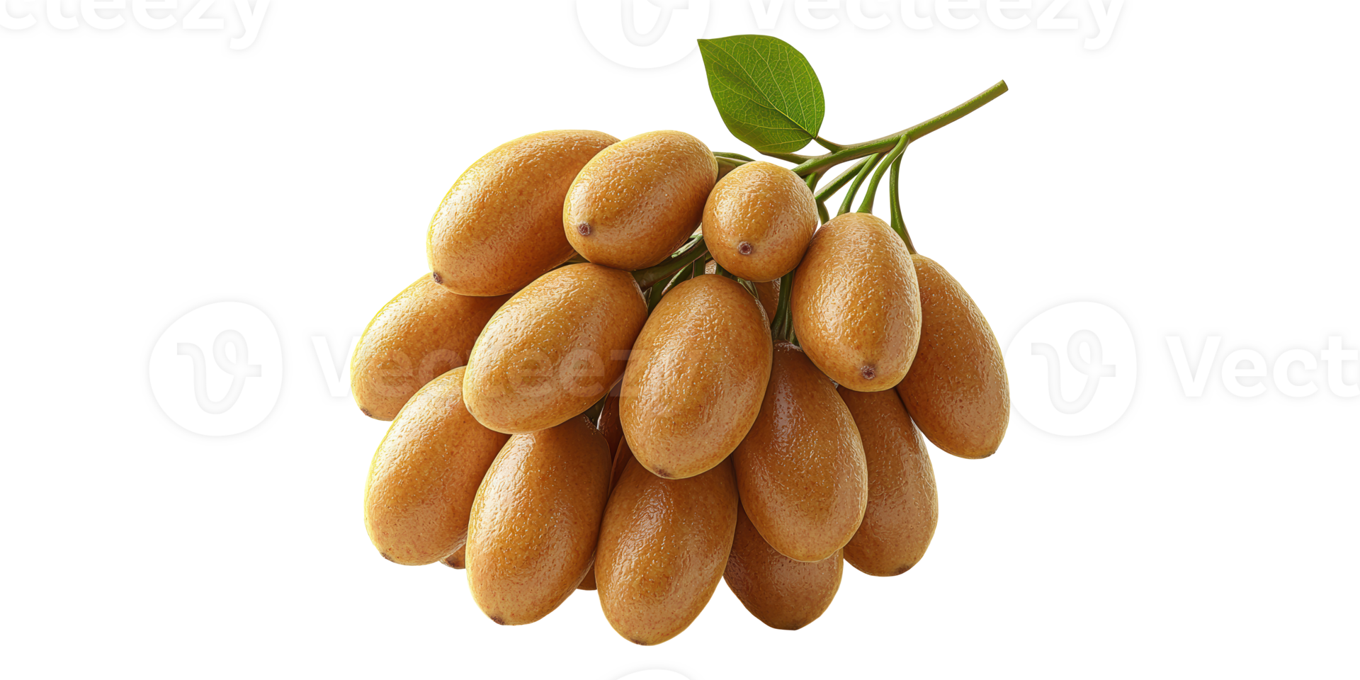 Fresh Dates Cluster Isolated on Transparent Background. png