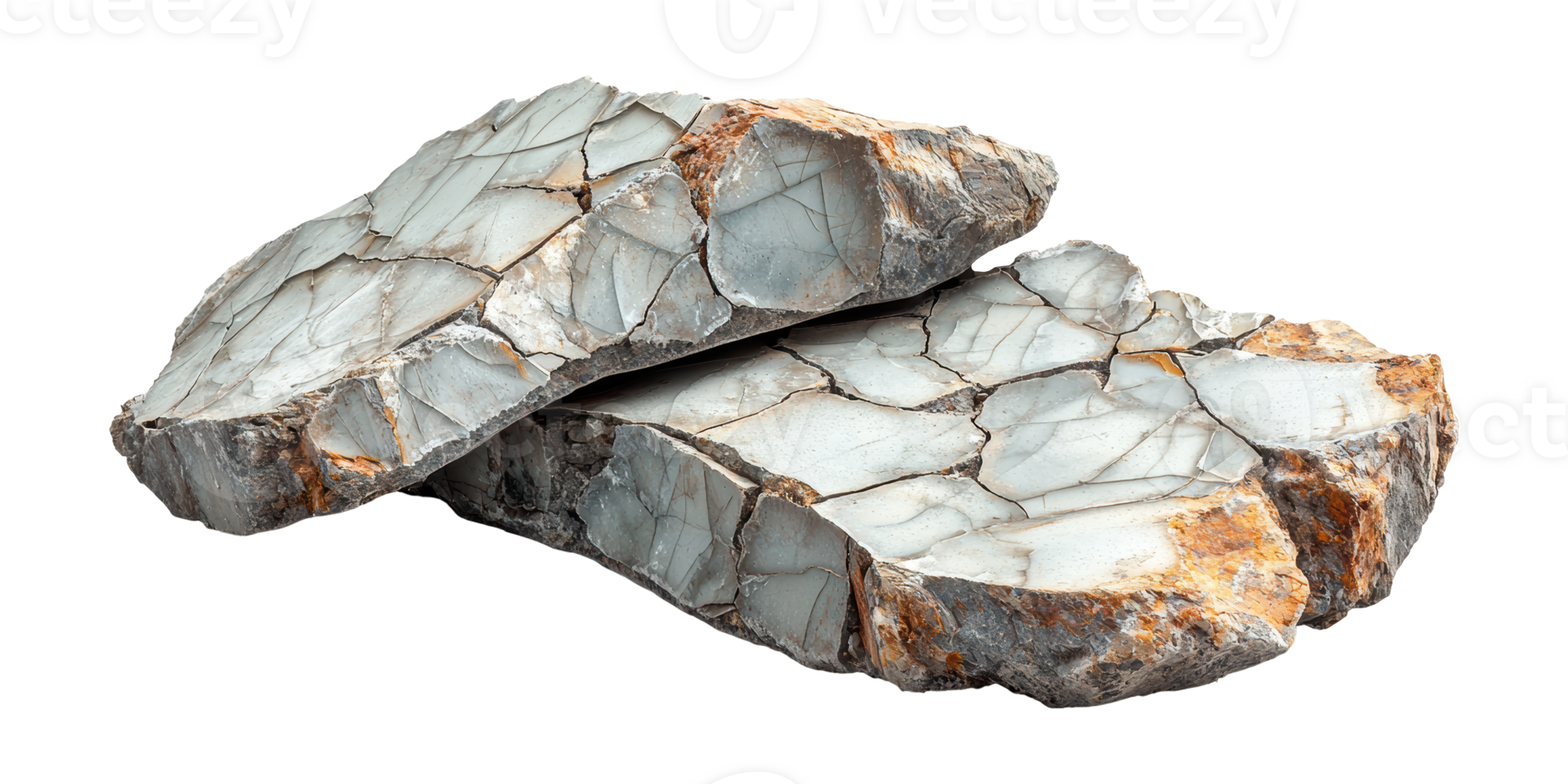 Two pieces of petrified wood fossils isolated on transparent background png