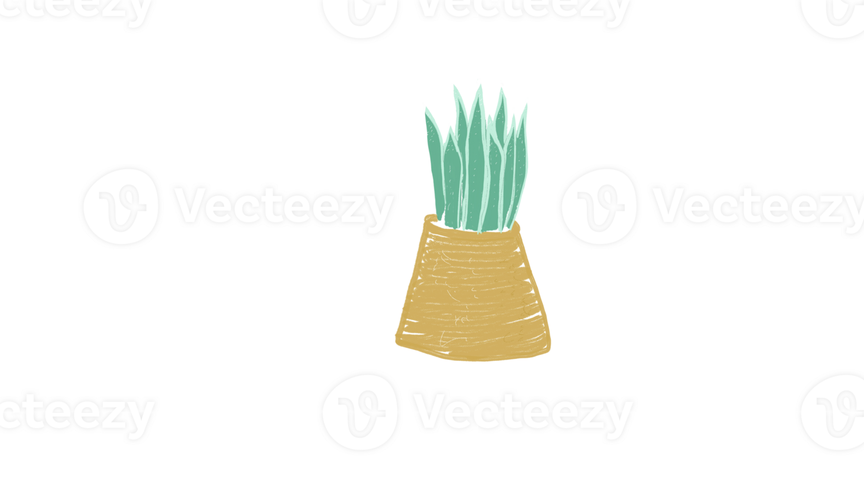Sansevieria in a pot png