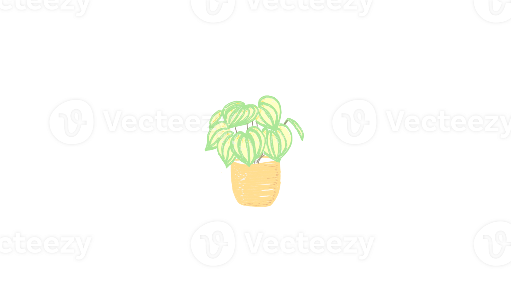 Cute Peperomia in Yellow png