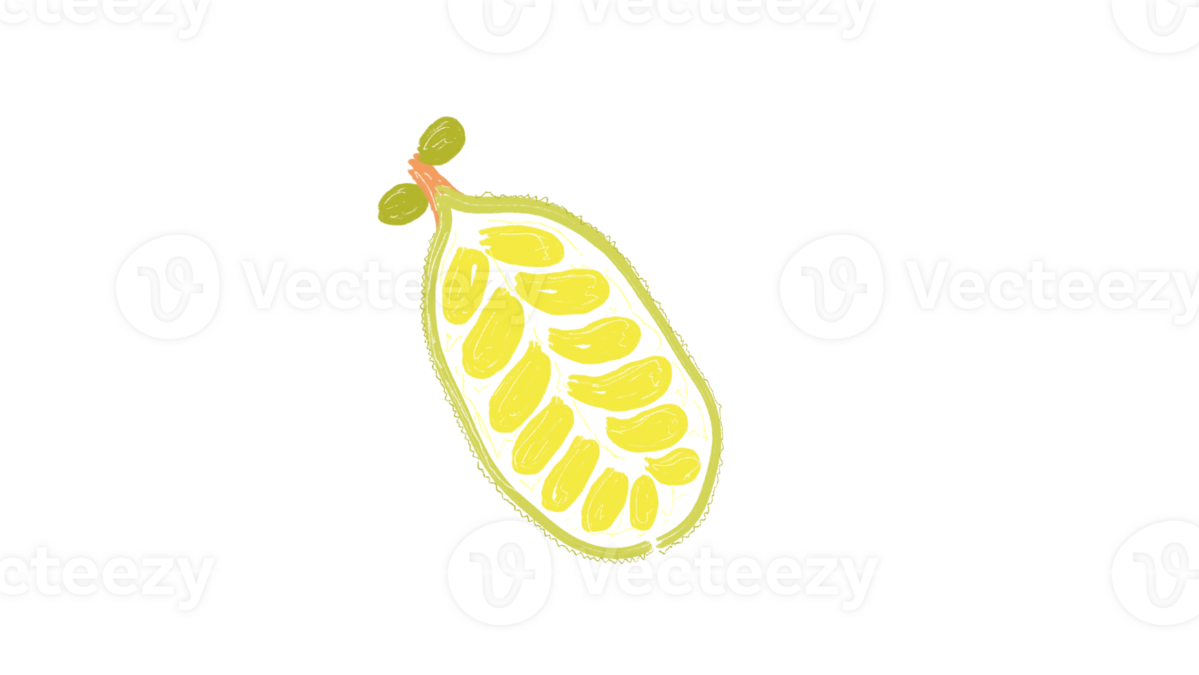 Jackfruit is a tropical fruit png