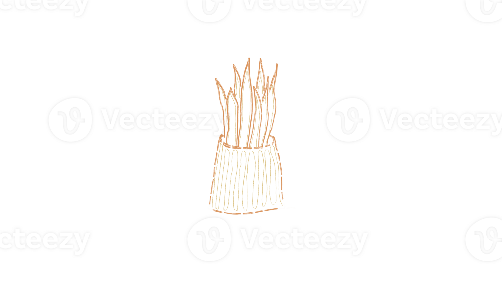 Sansevieria in Mono png