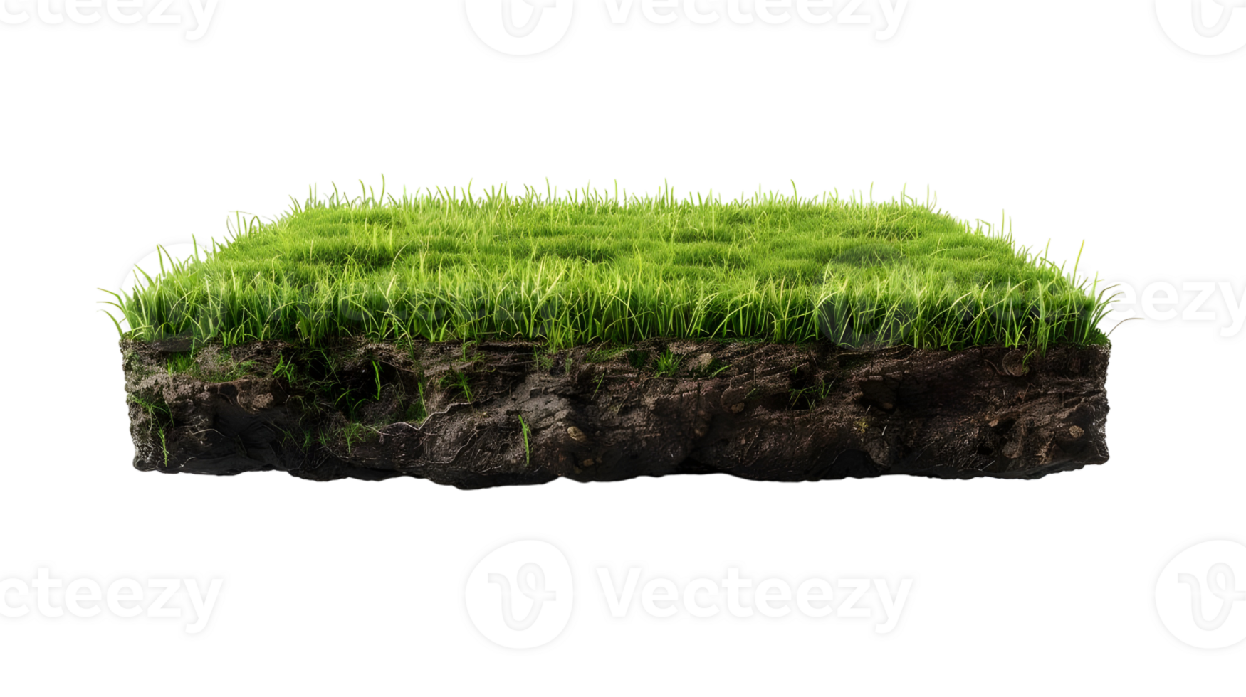 Green Grass and Soil Texture isolated on transparent background png