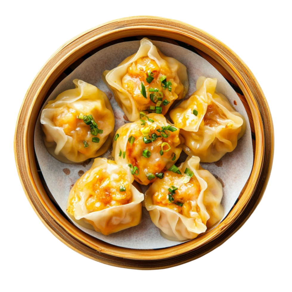 Bowl of Chinese Dumplings png