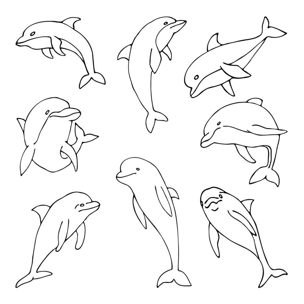 a set of outline drawings of dolphins, hand drawn in a cartoon style. vector