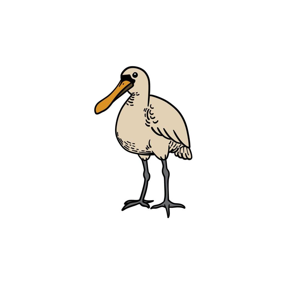 sea bird hand drawing illustration for design, logo, icon, mascot, template, website, etc vector