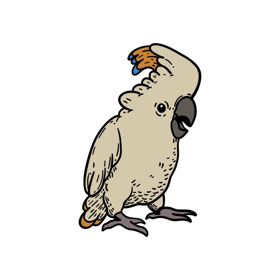 parrot bird hand drawing illustration for design, logo, icon, mascot, template, website, etc vector