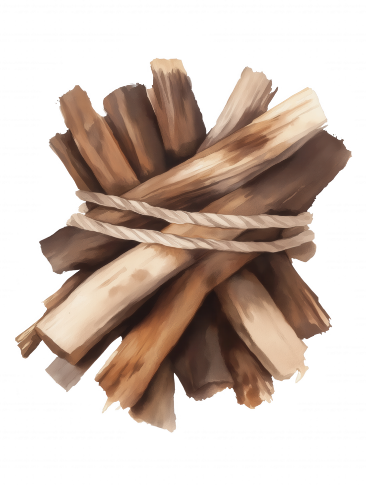 A bunch of wood is tied together with a rope png