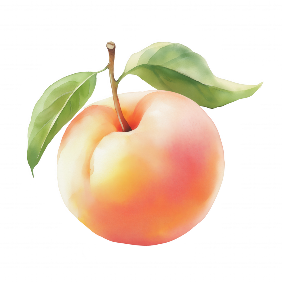A watercolor painting of a peach with a leaf on top. png