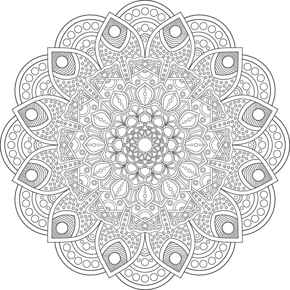 mandala and frame design vector