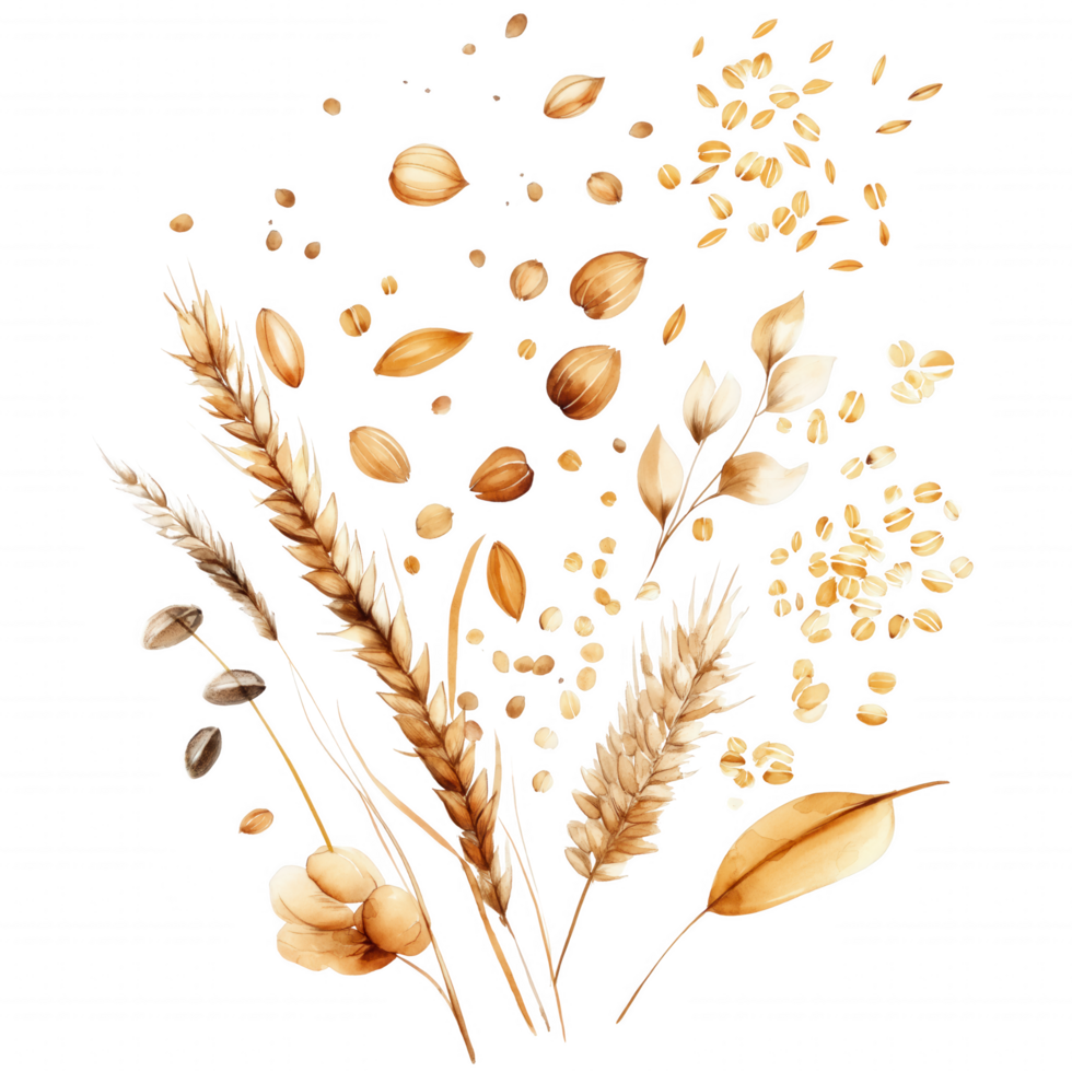 A painting of various grains and seeds, including wheat, oats, and rice png