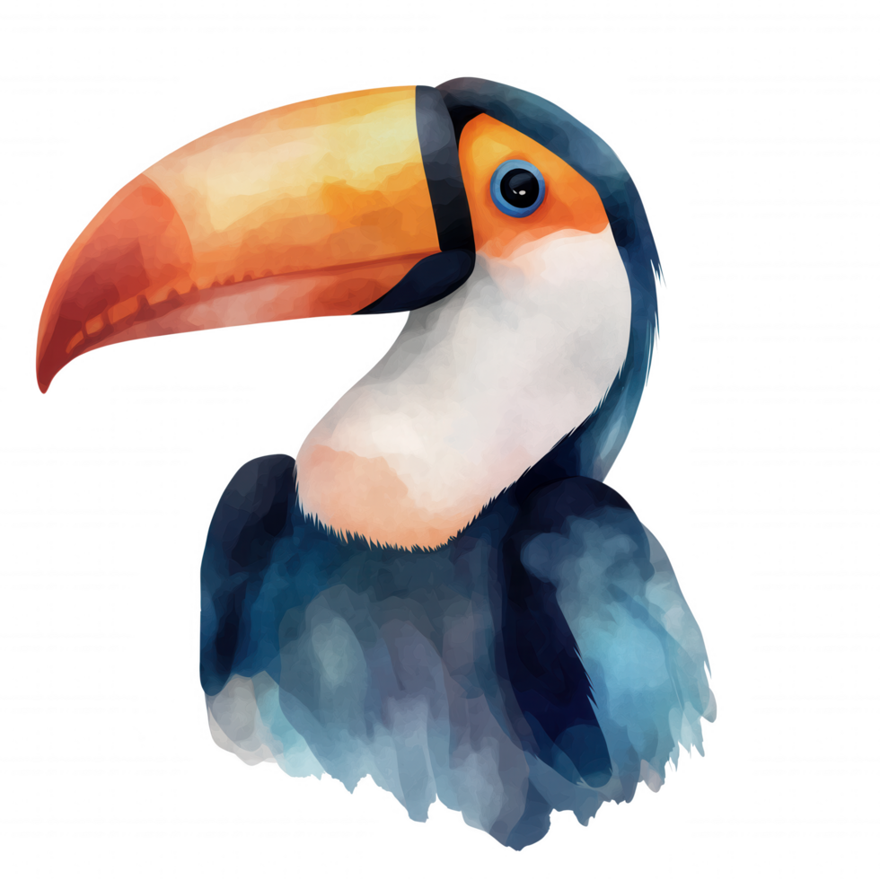 A colorful bird with a blue beak and orange feet png