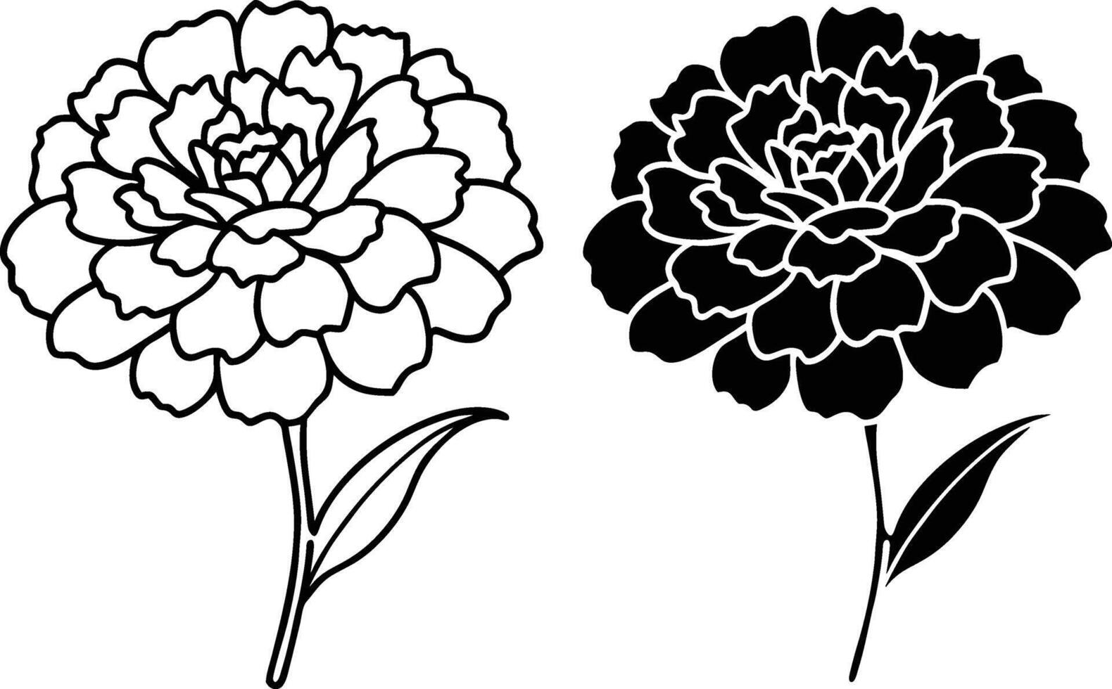 Marigold Flower Line Art Black and White Floral Designs vector
