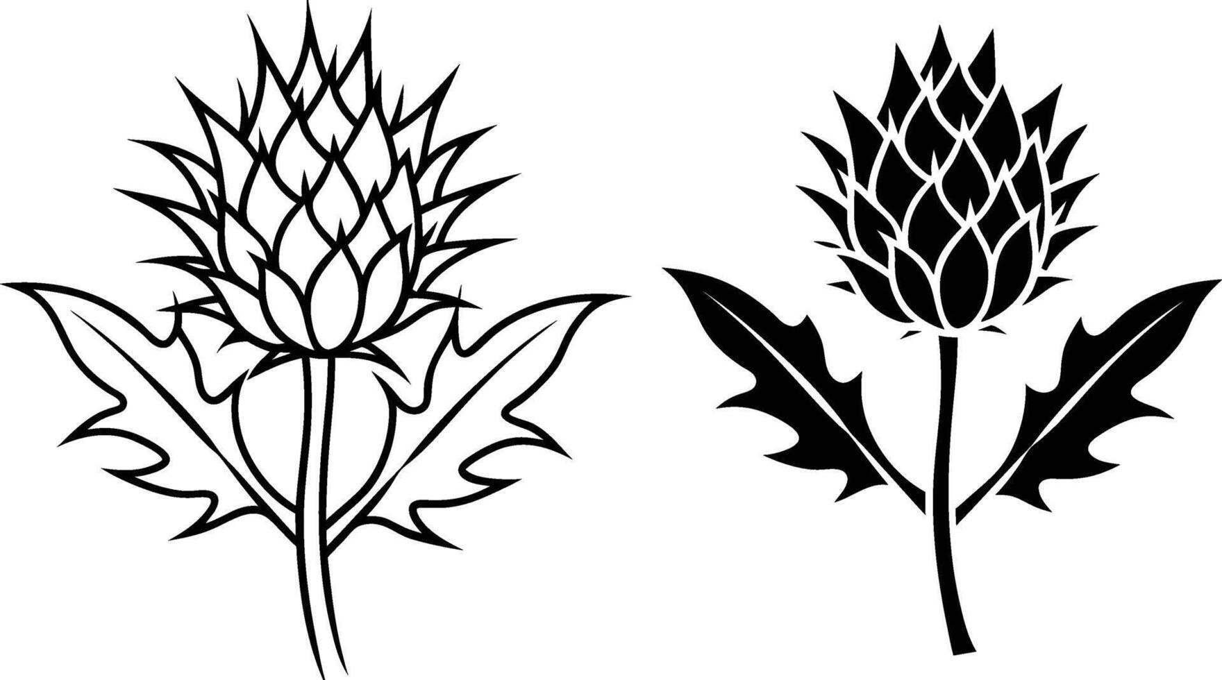 Black and White Thistle Flower Designs, Botanical Illustrations vector