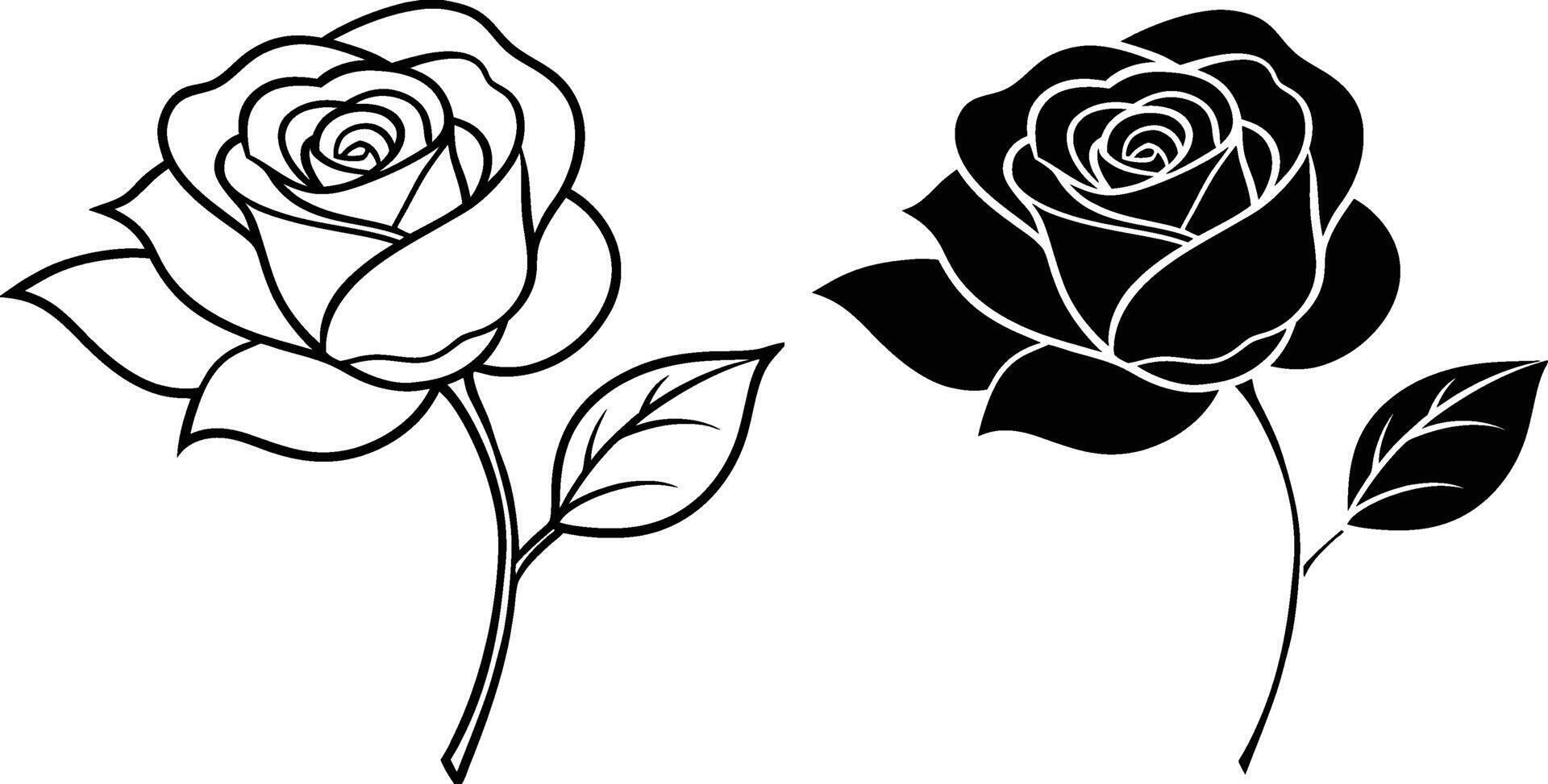 Elegant Rose Line Art Black and White Floral Design vector