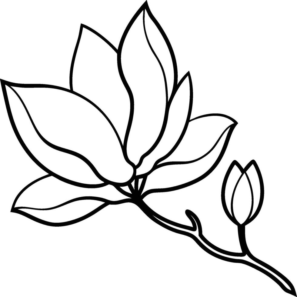 Elegant Magnolia Blossom Line Art Flower, Bud, Branch, Petals, Stem vector