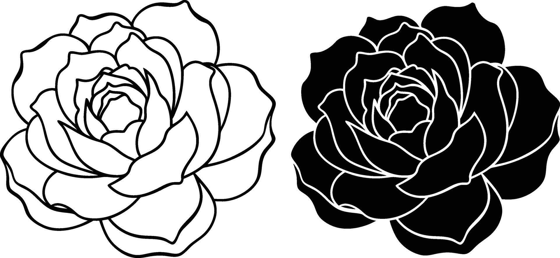 Elegant Rose Designs Outline and Silhouette Floral Illustrations vector