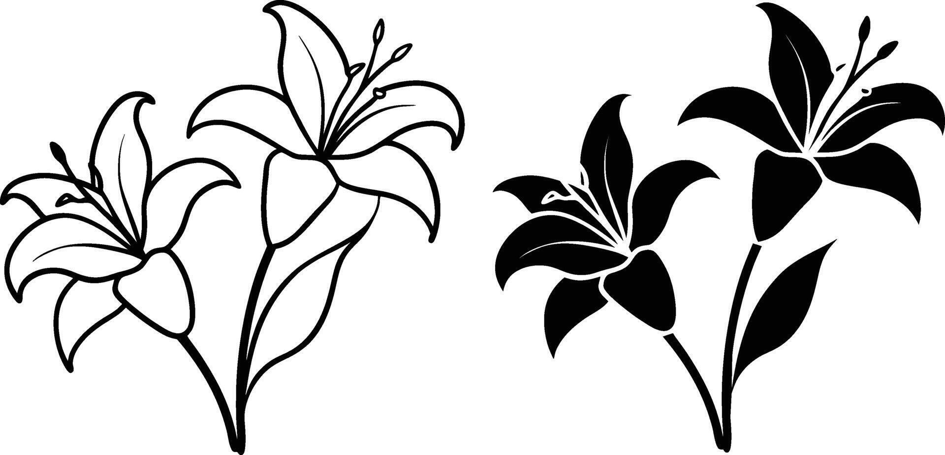 Elegant Lily Flowers Line Art and Silhouette Designs vector
