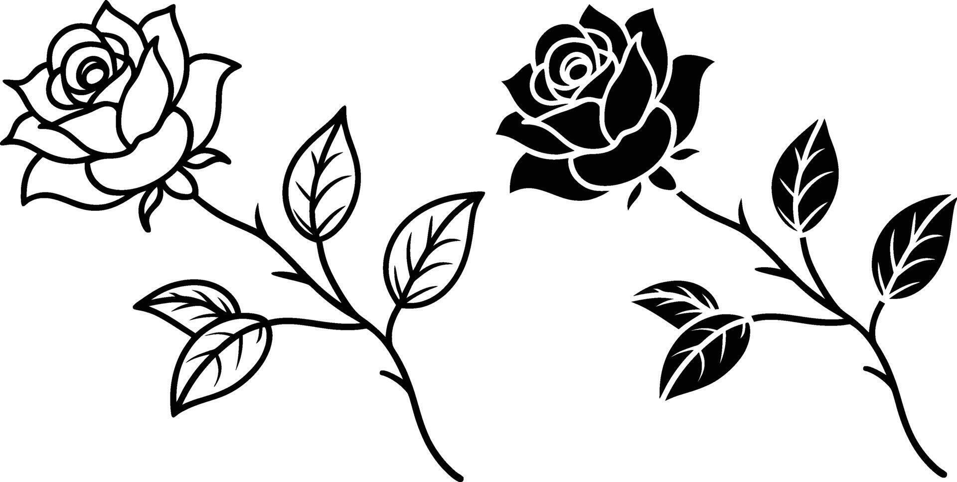 Elegant Black and White Rose Stems Floral Design Illustrations vector